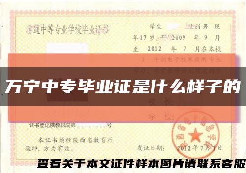 万宁中专毕业证是什么样子的缩略图