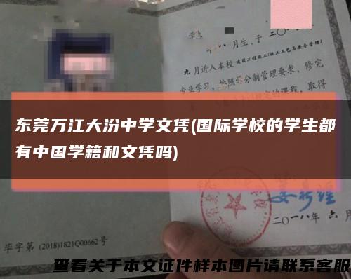 东莞万江大汾中学文凭(国际学校的学生都有中国学籍和文凭吗)缩略图