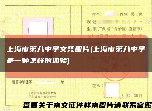 上海市第八中学文凭图片(上海市第八中学是一种怎样的体验)缩略图