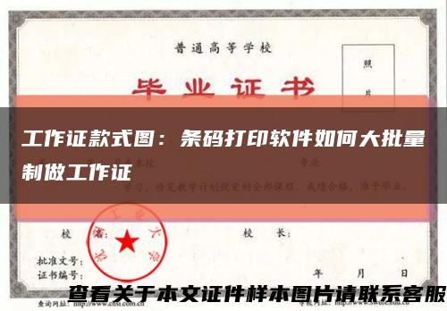 工作证款式图：条码打印软件如何大批量制做工作证缩略图