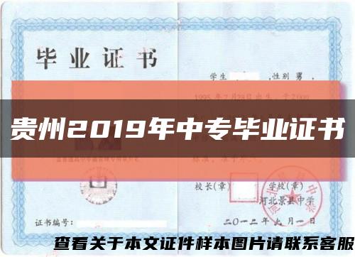 贵州2019年中专毕业证书缩略图