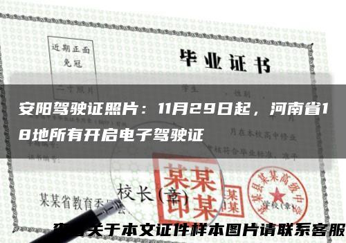 安阳驾驶证照片：11月29日起，河南省18地所有开启电子驾驶证缩略图
