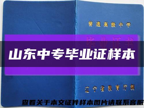 山东中专毕业证样本缩略图