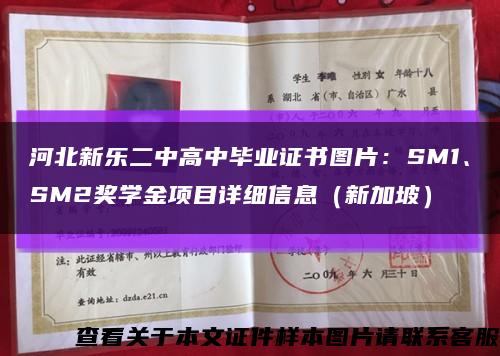 河北新乐二中高中毕业证书图片：SM1、SM2奖学金项目详细信息（新加坡）缩略图