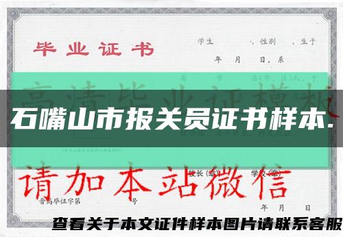 石嘴山市报关员证书样本.缩略图