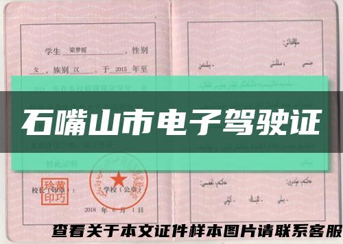 石嘴山市电子驾驶证缩略图