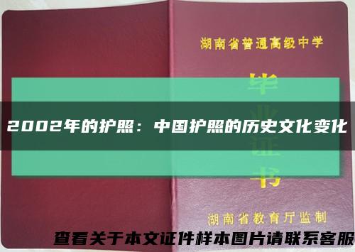 2002年的护照：中国护照的历史文化变化缩略图