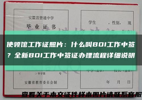 使领馆工作证照片：什么叫BOI工作中签？全新BOI工作中签证办理流程详细说明缩略图