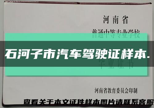 石河子市汽车驾驶证样本.缩略图