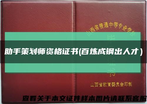 助手策划师资格证书(百炼成钢出人才）缩略图