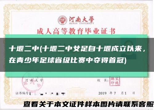 十堰二中(十堰二中女足自十堰成立以来，在青少年足球省级比赛中夺得首冠)缩略图