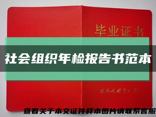 社会组织年检报告书范本缩略图