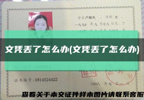 文凭丢了怎么办(文凭丢了怎么办)缩略图