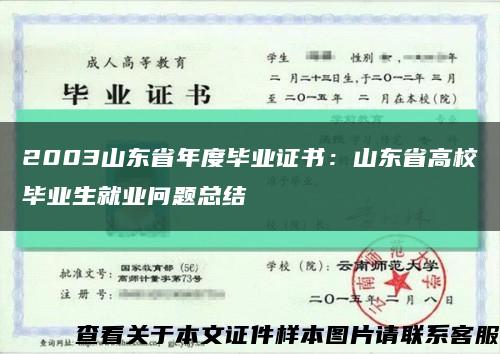 2003山东省年度毕业证书：山东省高校毕业生就业问题总结缩略图