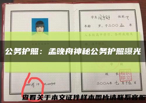 公务护照：孟晚舟神秘公务护照曝光缩略图