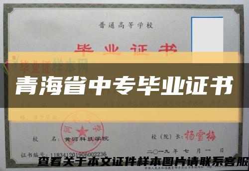青海省中专毕业证书缩略图