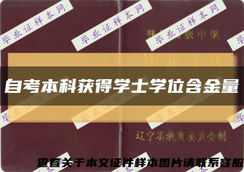 自考本科获得学士学位含金量缩略图