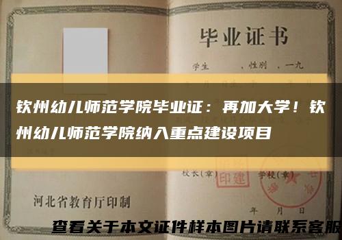 钦州幼儿师范学院毕业证：再加大学！钦州幼儿师范学院纳入重点建设项目缩略图