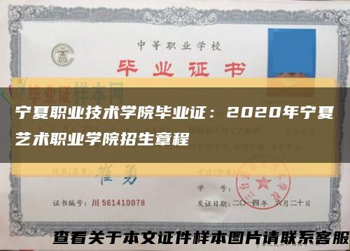 宁夏职业技术学院毕业证：2020年宁夏艺术职业学院招生章程缩略图