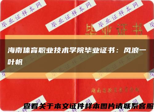 海南体育职业技术学院毕业证书：风浪一叶帆缩略图