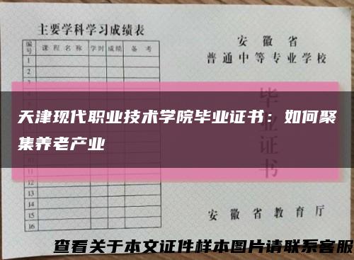 天津现代职业技术学院毕业证书：如何聚集养老产业缩略图