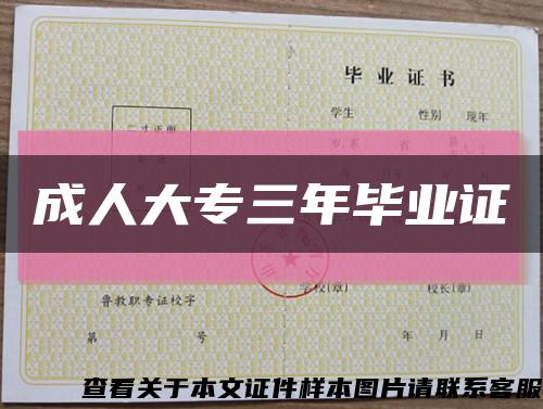 成人大专三年毕业证缩略图