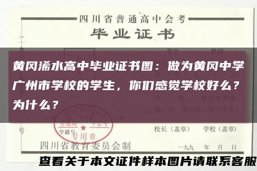 黄冈浠水高中毕业证书图：做为黄冈中学广州市学校的学生，你们感觉学校好么？为什么？缩略图