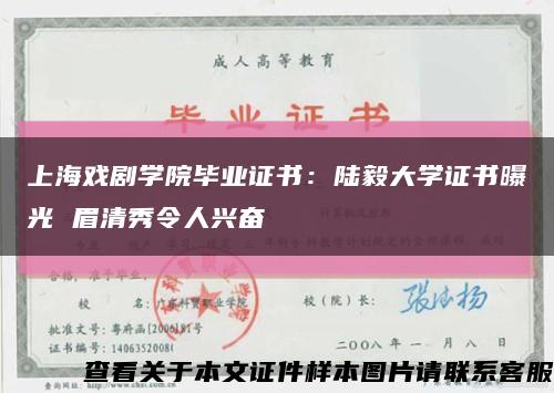 上海戏剧学院毕业证书：陆毅大学证书曝光 眉清秀令人兴奋缩略图