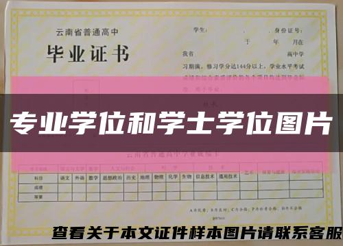 专业学位和学士学位图片缩略图