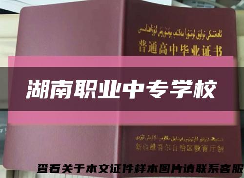 湖南职业中专学校缩略图