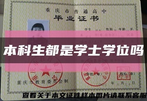本科生都是学士学位吗缩略图