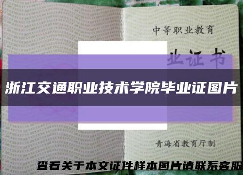 浙江交通职业技术学院毕业证图片缩略图