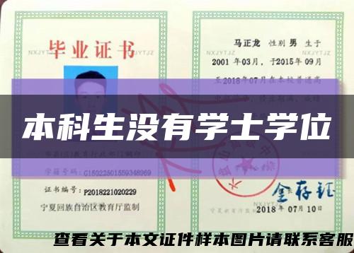 本科生没有学士学位缩略图