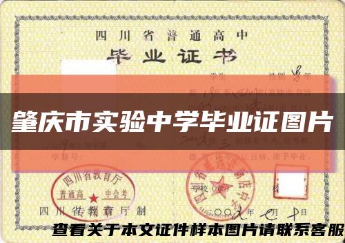 肇庆市实验中学毕业证图片缩略图