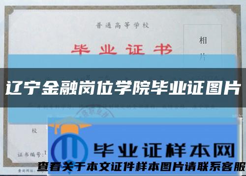 辽宁金融岗位学院毕业证图片缩略图