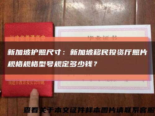 新加坡护照尺寸：新加坡移民投资厅照片规格规格型号规定多少钱？缩略图