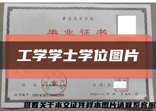 工学学士学位图片缩略图