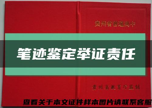 笔迹鉴定举证责任缩略图
