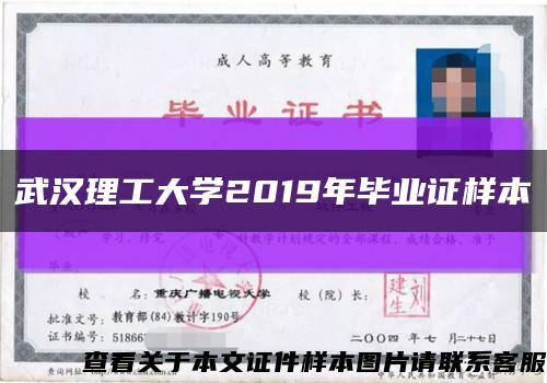 武汉理工大学2019年毕业证样本缩略图