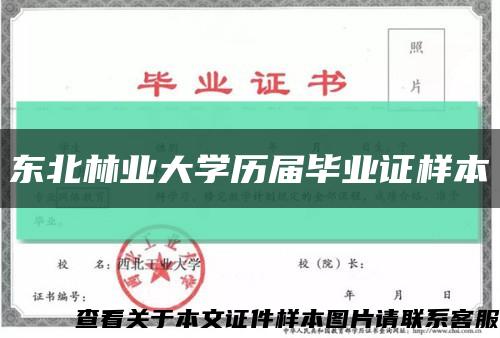 东北林业大学历届毕业证样本缩略图