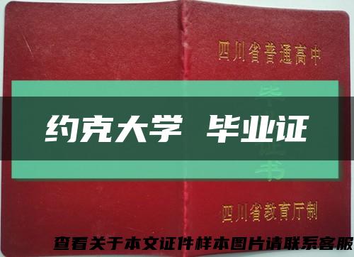 约克大学 毕业证缩略图