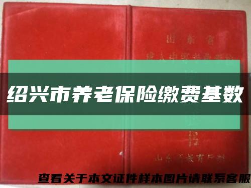 绍兴市养老保险缴费基数缩略图