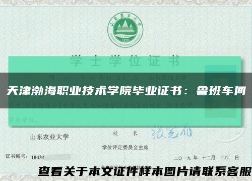 天津渤海职业技术学院毕业证书：鲁班车间缩略图