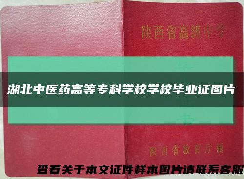 湖北中医药高等专科学校学校毕业证图片缩略图