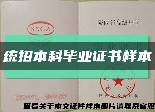 统招本科毕业证书样本缩略图