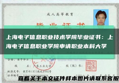 上海电子信息职业技术学院毕业证书：上海电子信息职业学院申请职业本科大学缩略图