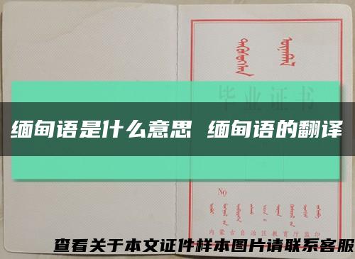 缅甸语是什么意思 缅甸语的翻译缩略图