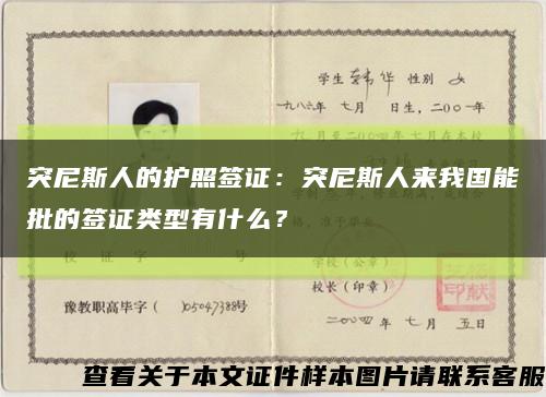 突尼斯人的护照签证：突尼斯人来我国能批的签证类型有什么？缩略图