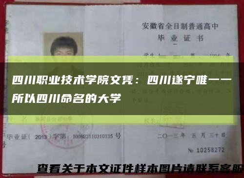 四川职业技术学院文凭：四川遂宁唯一一所以四川命名的大学缩略图