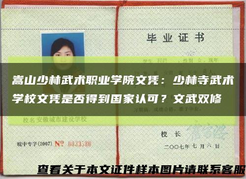 嵩山少林武术职业学院文凭：少林寺武术学校文凭是否得到国家认可？文武双修缩略图